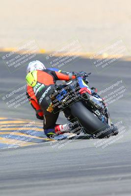 media/Mar-10-2024-SoCal Trackdays (Sun) [[6228d7c590]]/9-Turn 8 Backside (1150am)/